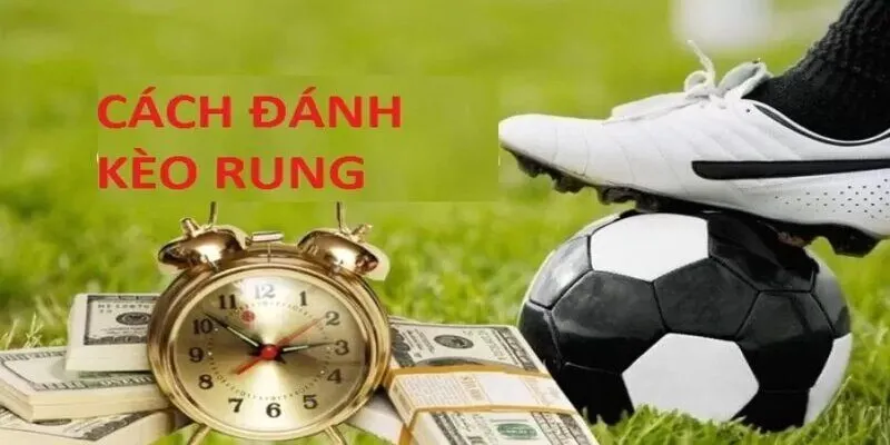 Cách tính tiền kèo rung là gì cũng như bao loại kèo bóng đá khác